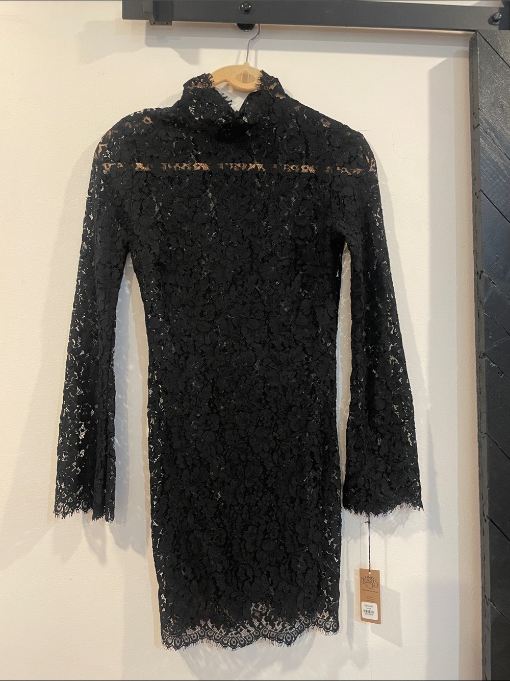 Black sheer lace Mini Dress